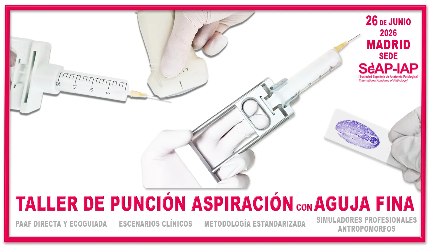 Taller de punción aspiración con aguja fina