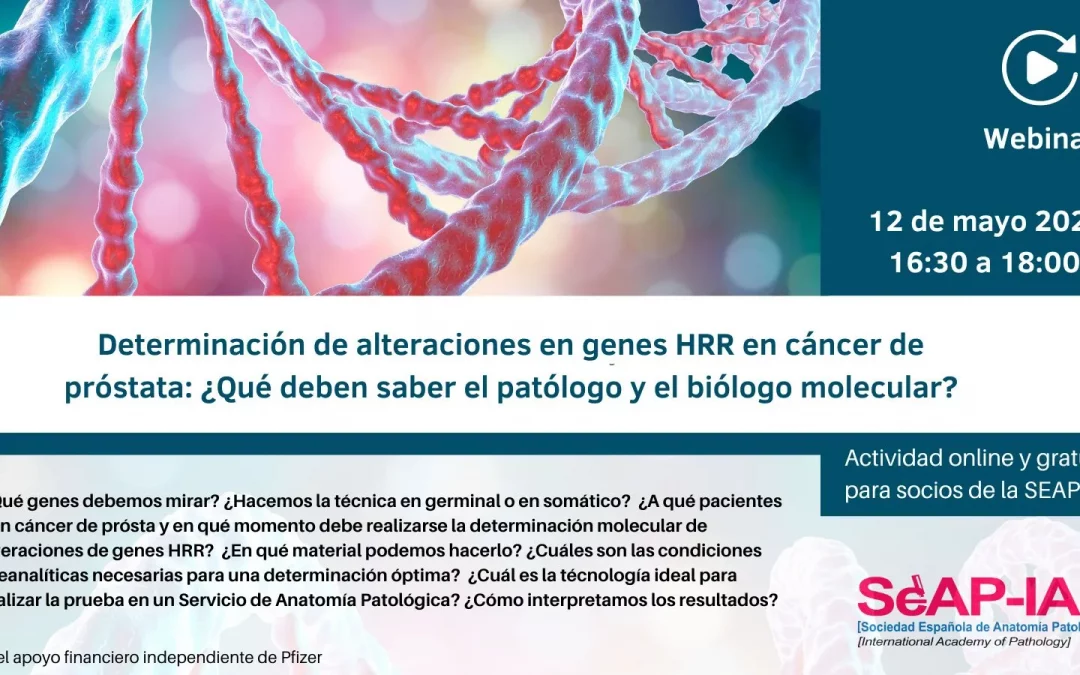 Webinar SEAP: Determinación de alteraciones en genes HRR en cáncer de próstata: ¿Qué deben saber el patólogo y el biólogo molecular?