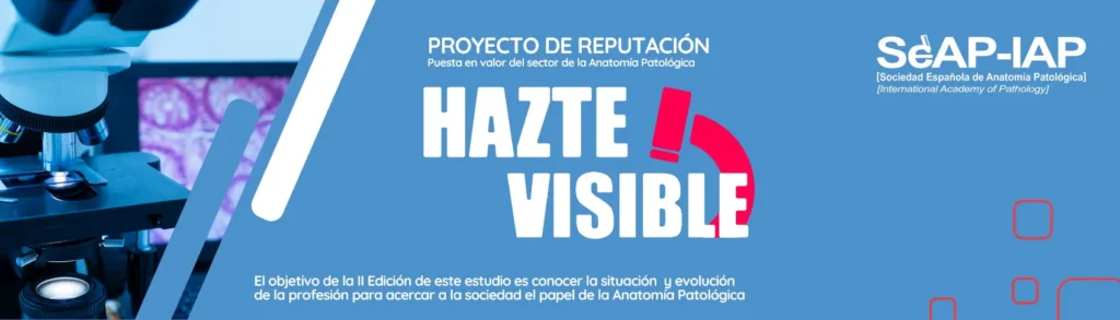 Hazte Visible