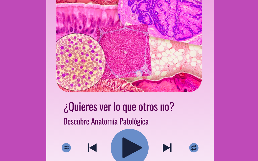 Jornada Post-MIR. Lunes 4 de mayo 2026. Gratuito.