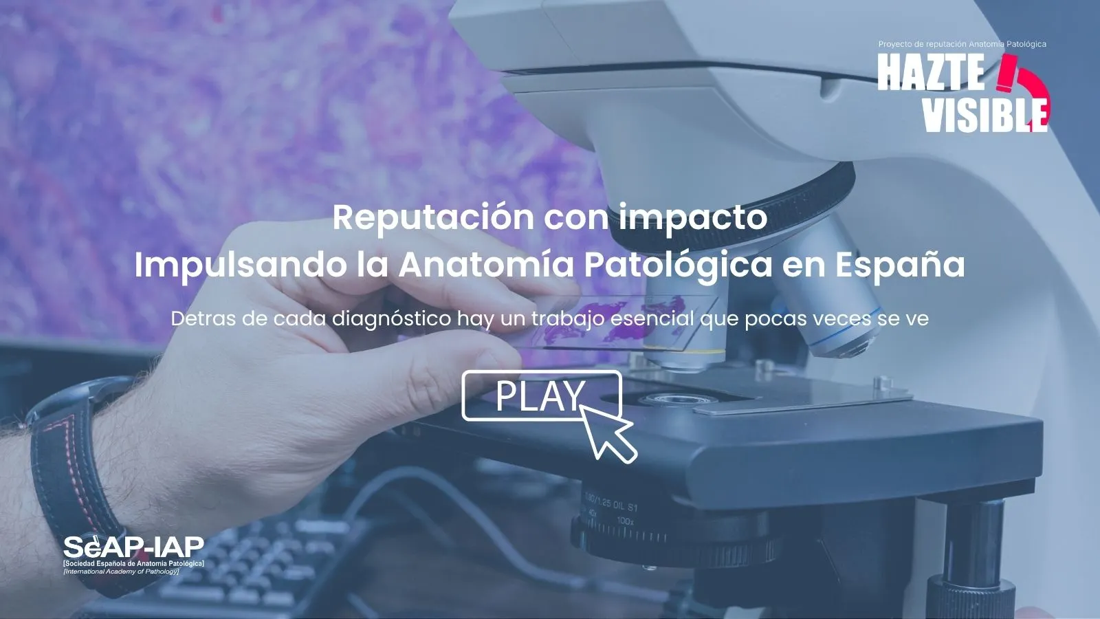 Reputación con impacto